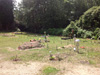 Bagh-e-Zehra graveyard