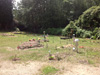 Bagh-e-Zehra graveyard