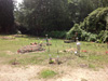 Bagh-e-Zehra graveyard