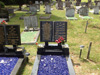 Bagh-e-Zehra graveyard