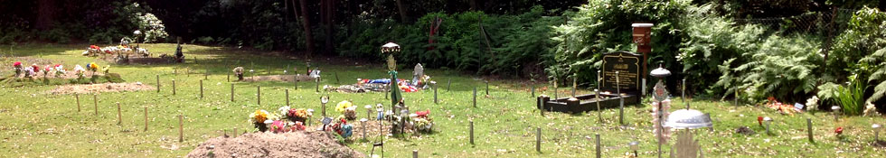 grave image
